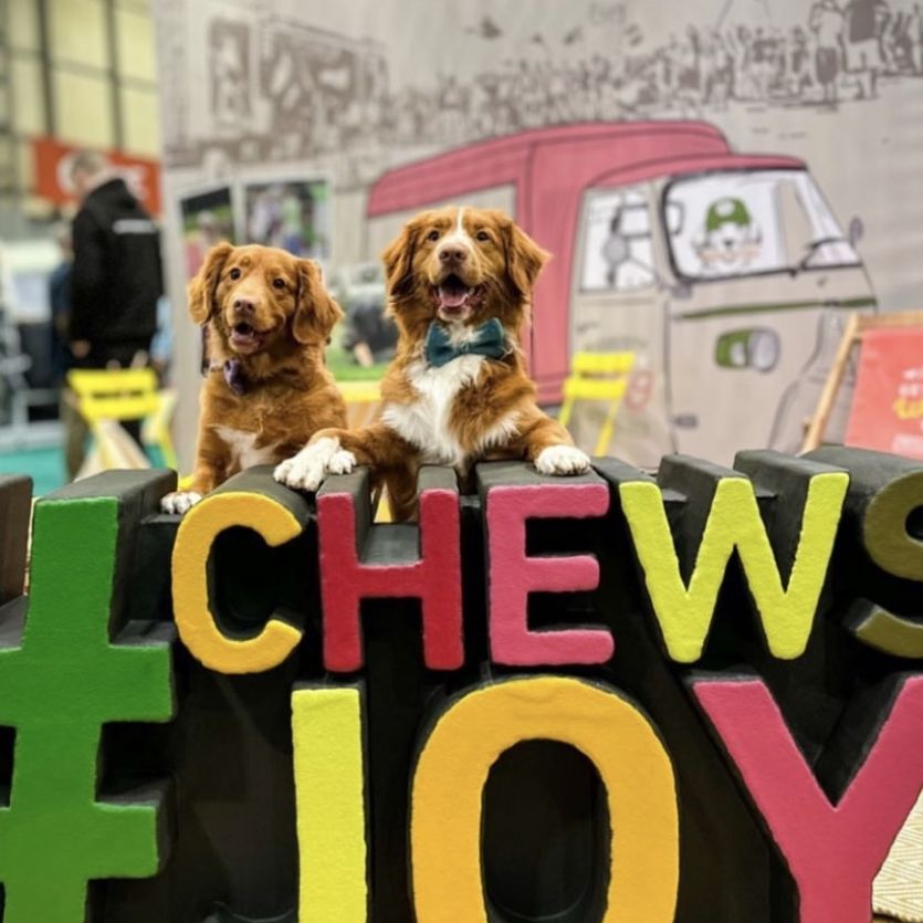 Large colourful 3d letters - #Chewsjoy