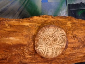 driftwood replica in the making