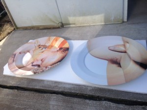 giant dinner plates