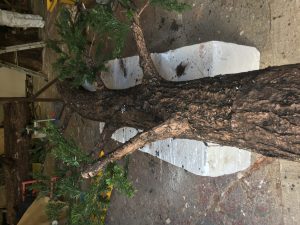 realistic artificial trees