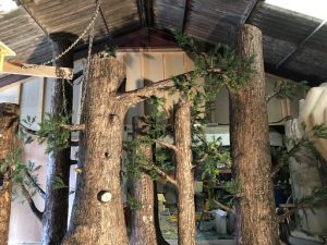 Realistic artificial trees for a theatre production