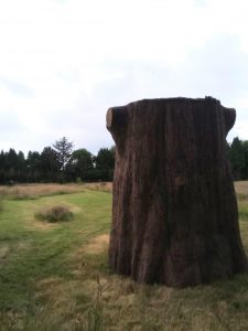Unique compost toilet inside a tree
